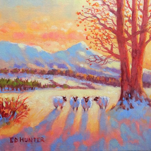 'Winter Huddle by Killearn' by Ed Hunter (6 pack) (HX06) NEW 