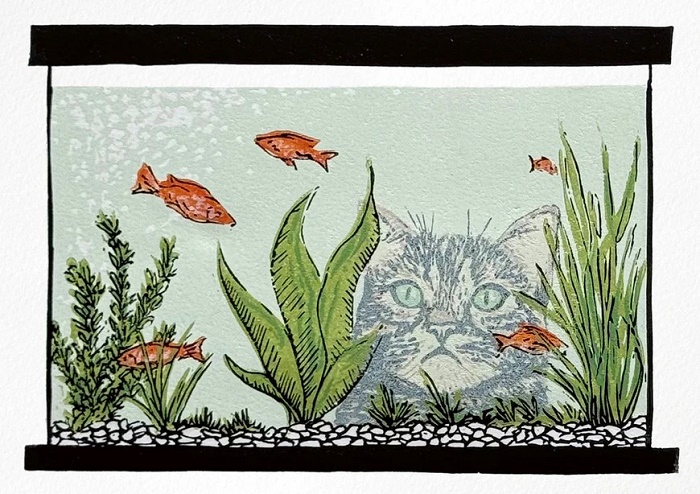 'Focus' by Zoe Buffery (C087) NEW