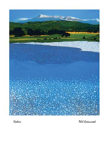 Cadair by Phil Greenwood (J003) NEW