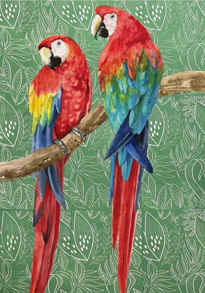 'Scarlet Macaws' by Celia Lewis (R362) NEW