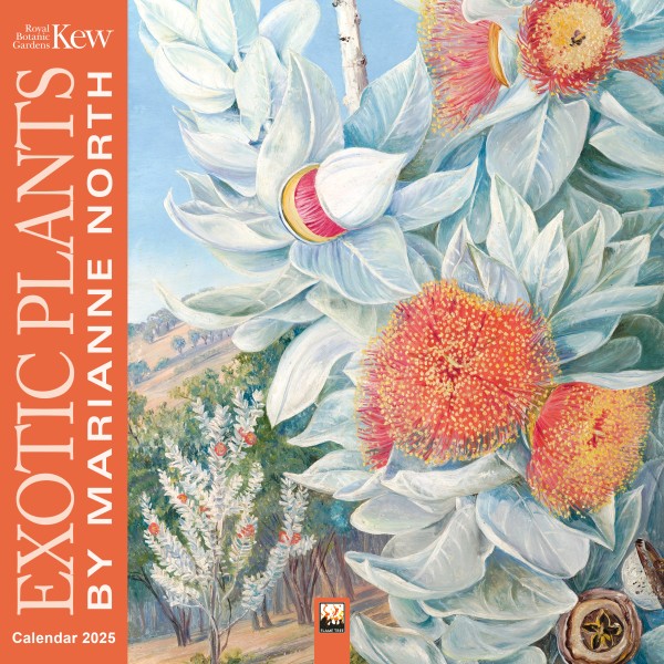 Kew Gardens Exotic Plants by Marianne North Wall Calendar 2025 (CAL04) Click image for calendar details