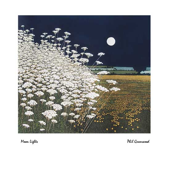 Moon Lights by Phil Greenwood (J002) NEW