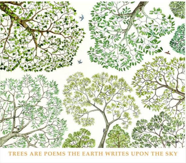 'Every Tree is a Poem' by Rebecca Campbell (B004) NEW