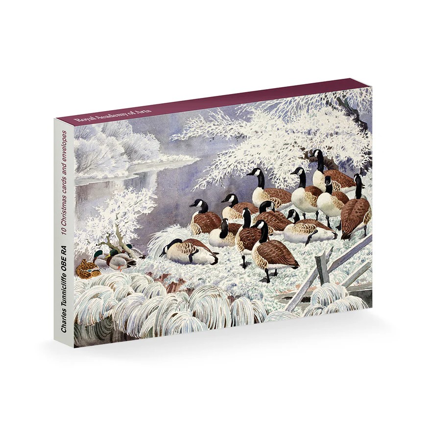 Charles Tunnicliffe OBE RA 'Hoar Frost on Mere Side' (CX04) g2 (10 card wallet) 