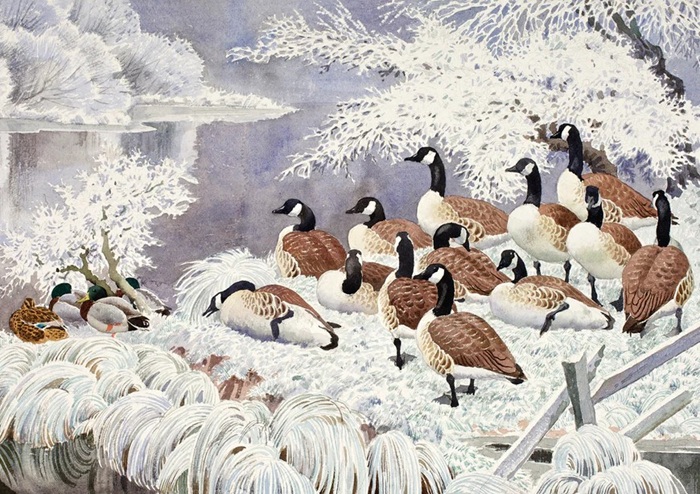 Charles Tunnicliffe OBE RA 'Hoar Frost on Mere Side' (CX04) g2 (10 card wallet) 
