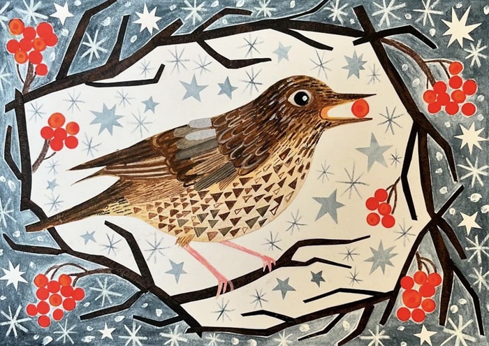 'Song Thrush with Berries' by Amy Husband (6 card pack) (BX10) g2 Christmas 