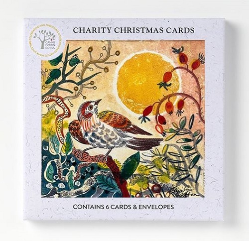 'Finch and Berries' by Emily Sutton NEW g2 (6 card pack) (BX06) Christmas