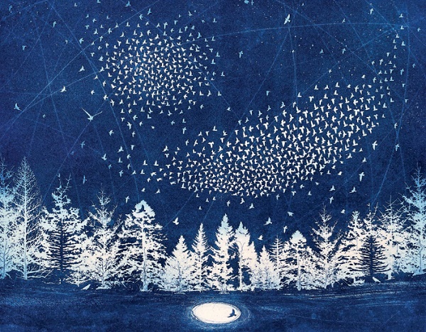 'The Starry Messenger' by Fiona Watson NEW g2 (6 card pack) (BX03) Christmas 