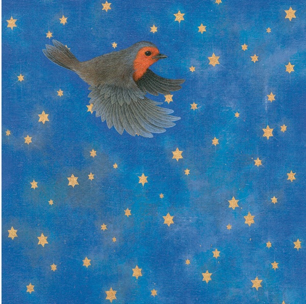 'Night Flight' by Louise Crabb (6 card pack) (BX09) g2 Christmas 